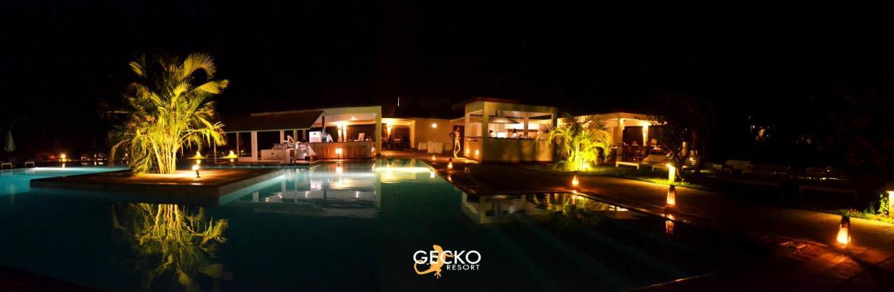 Gecko Resort Watamu Zewnętrze zdjęcie
